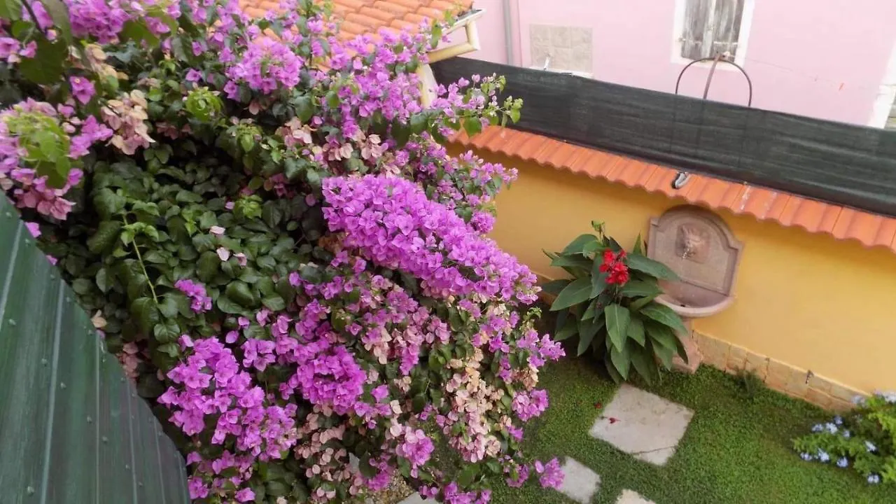 House Justina Villa Zadar
