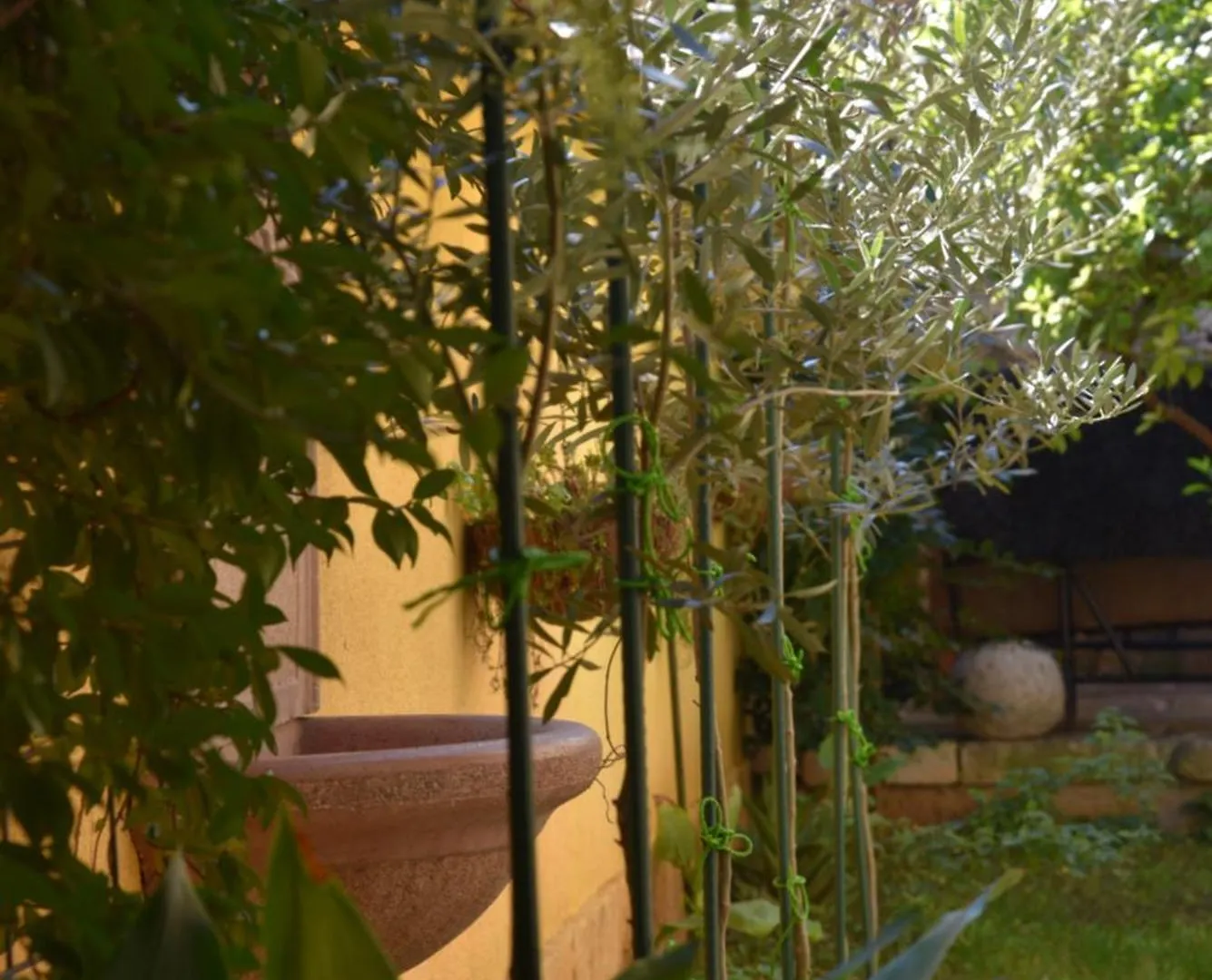 House Justina Villa Zadar