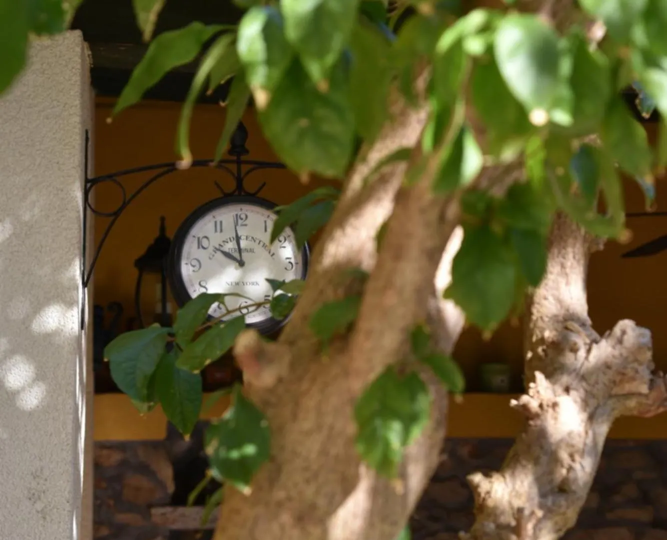 Vila House Justina Zadar